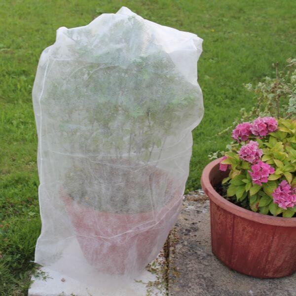 White tubular fleece over potted plant in garden