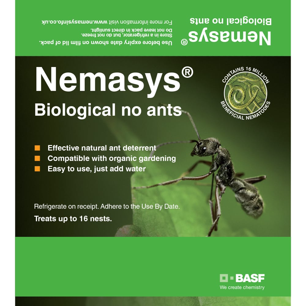 Ant Nematodes Treat Up to 16 Garden Nests