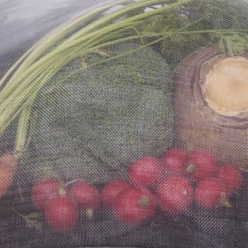 Ultra fine insect mesh netting with vegetables underneath