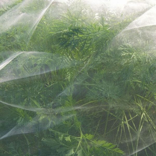Close up veggiemesh ultra-fine with carrots