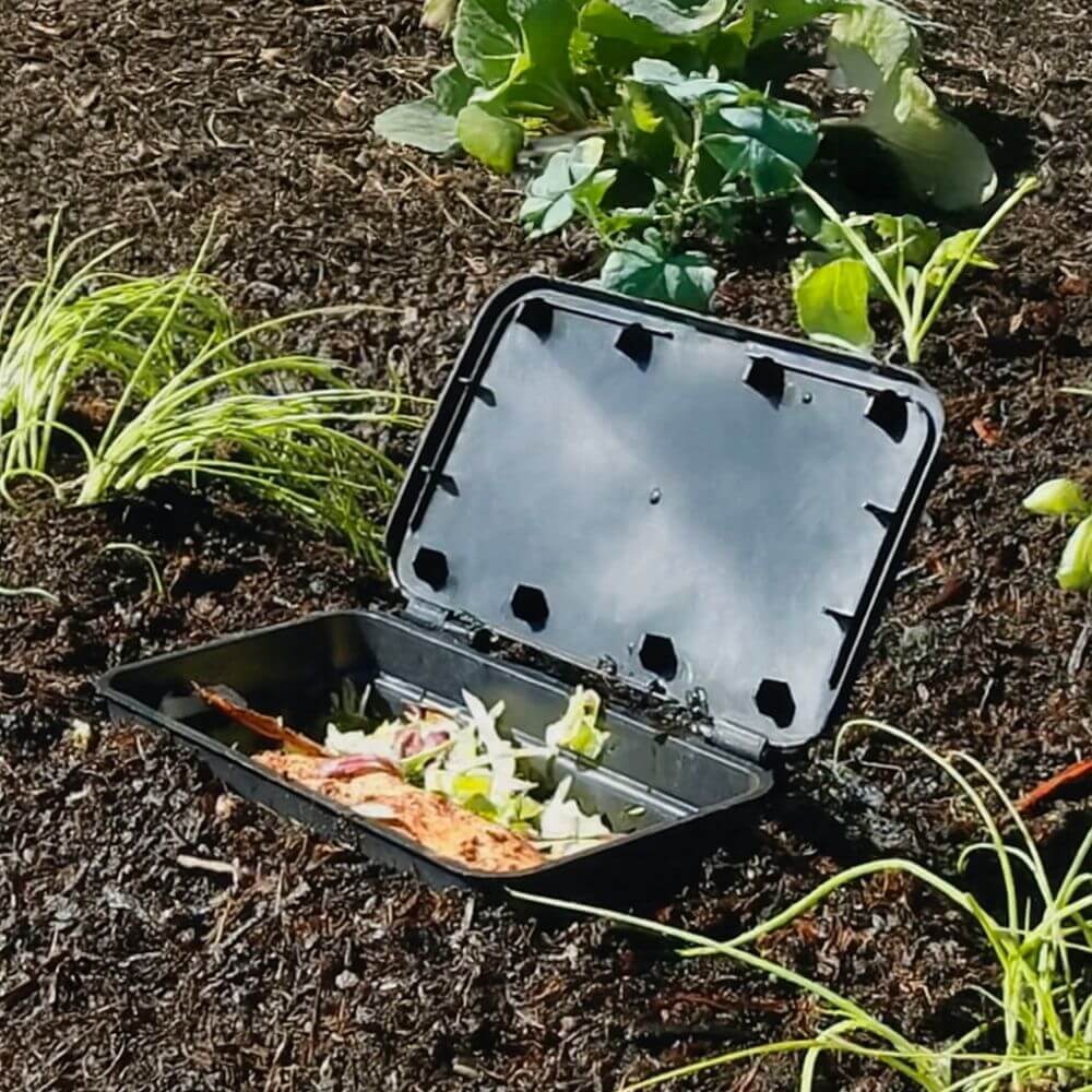 Black compost bin in soil