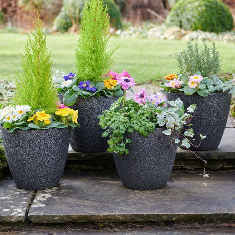 filled with colourful flowers on a gravel surface