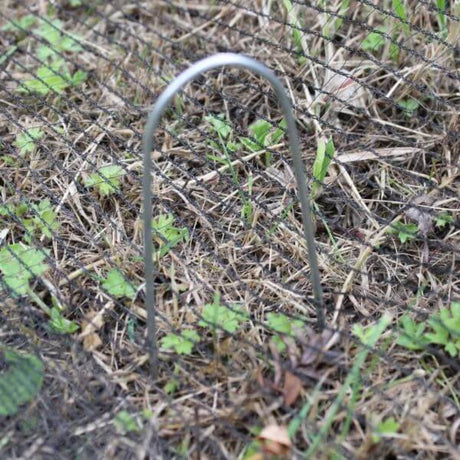 A single U-pin ground staple