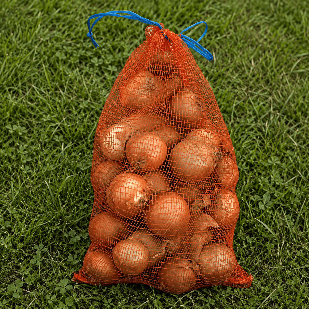 Bag of onions on a grassy background