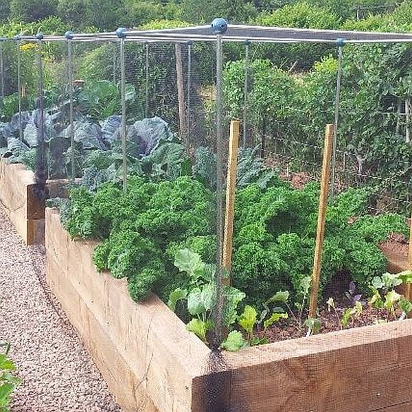 Vegetable Cage Butterfly netting
