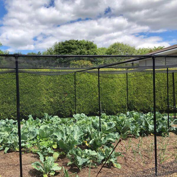 premium vegetable cage and butterfly netting on