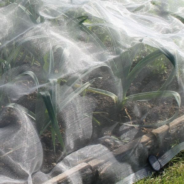 Veggiemesh insect netting over leeks in garden