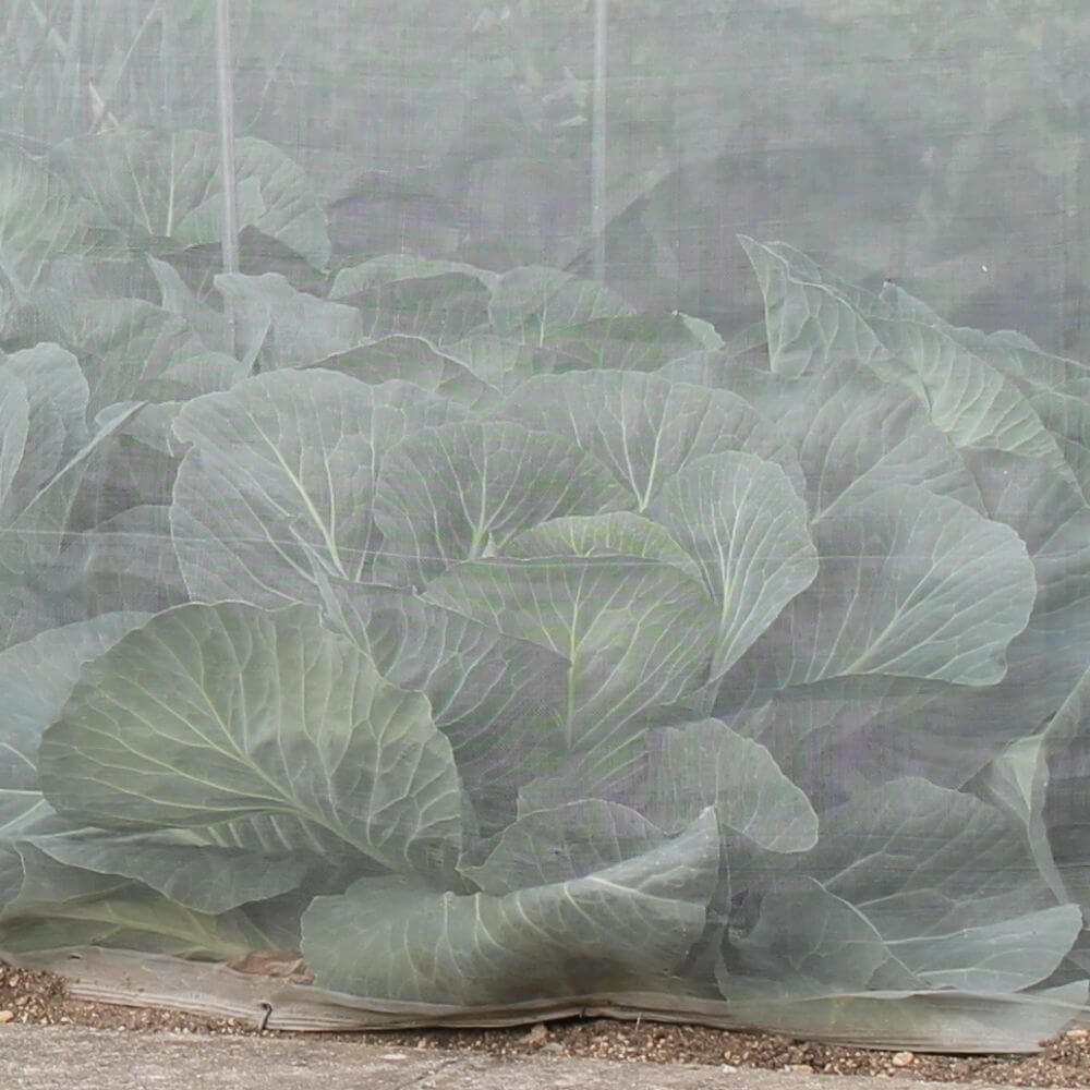 Veggiemesh Insect Netting for Vegetables