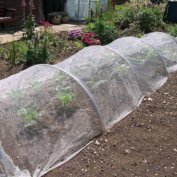 Veggiemesh insect netting over aluminium garden hoops in allotment