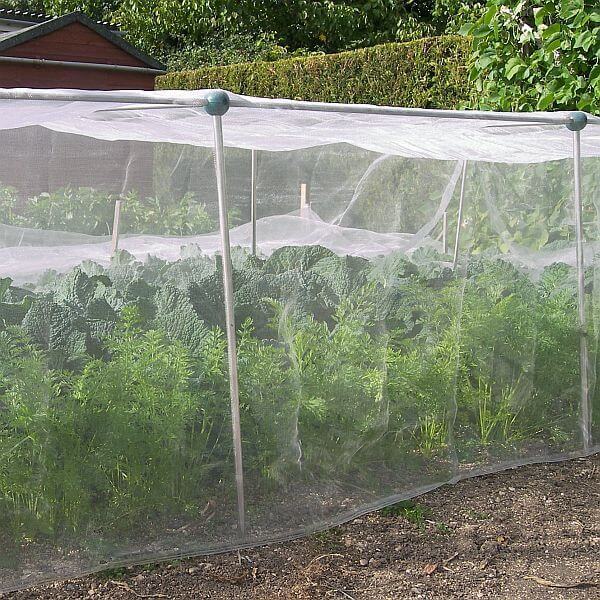 Veggiemesh netting over vegetables