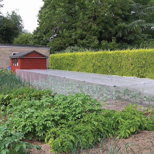 A long garden cage covered in insect mesh with cabbages growing in garden