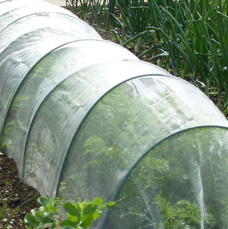 A garden with flexible tunnels covered in white insect mesh netting, designed to protect plants.