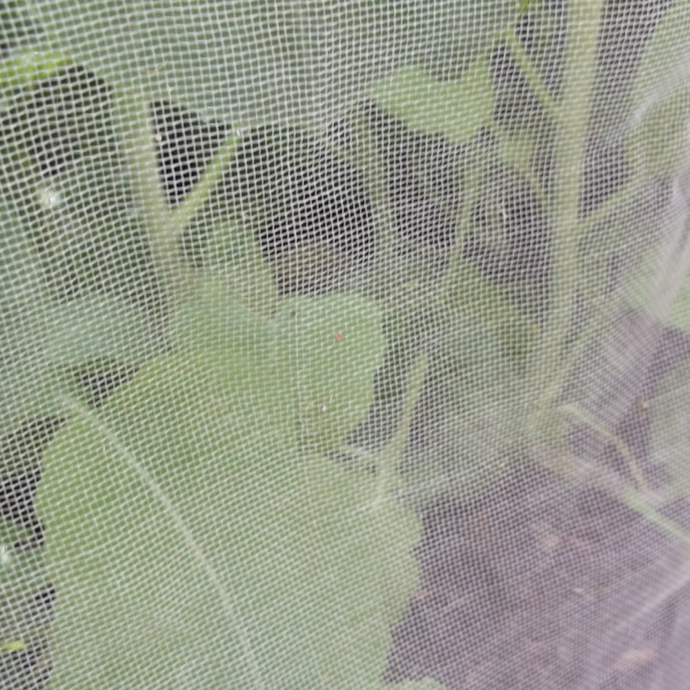 Veggiemesh garden netting close up