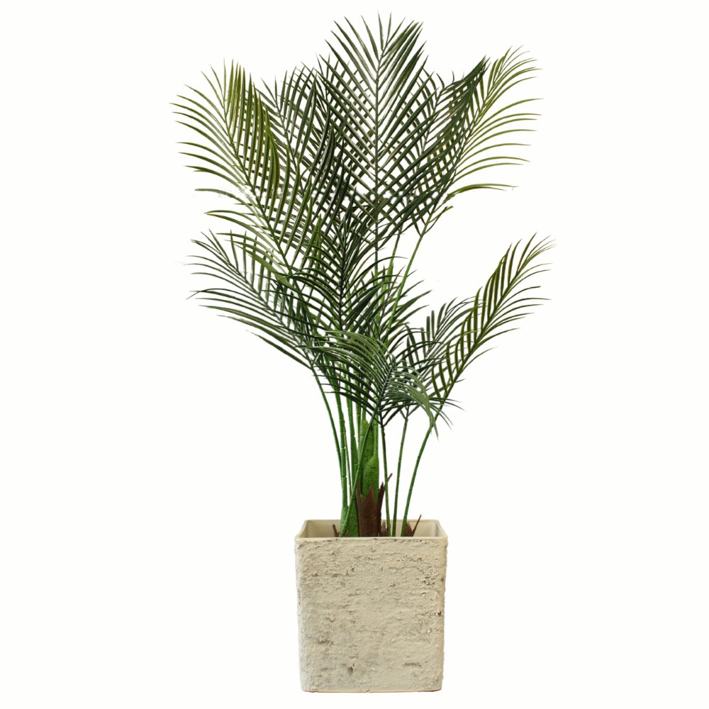verona plant pot with plant inside