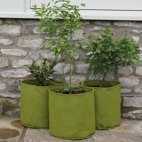 Three green fabric patio pots with plants in them, placed on a stone surface against a brick wall.