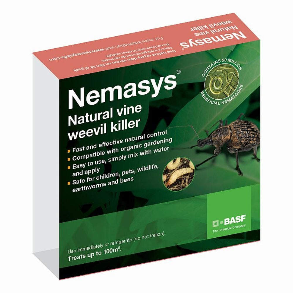 Box of Nemasys natural vine weevil killer containing live nematodes for controlling vine weevil larvae in gardens.