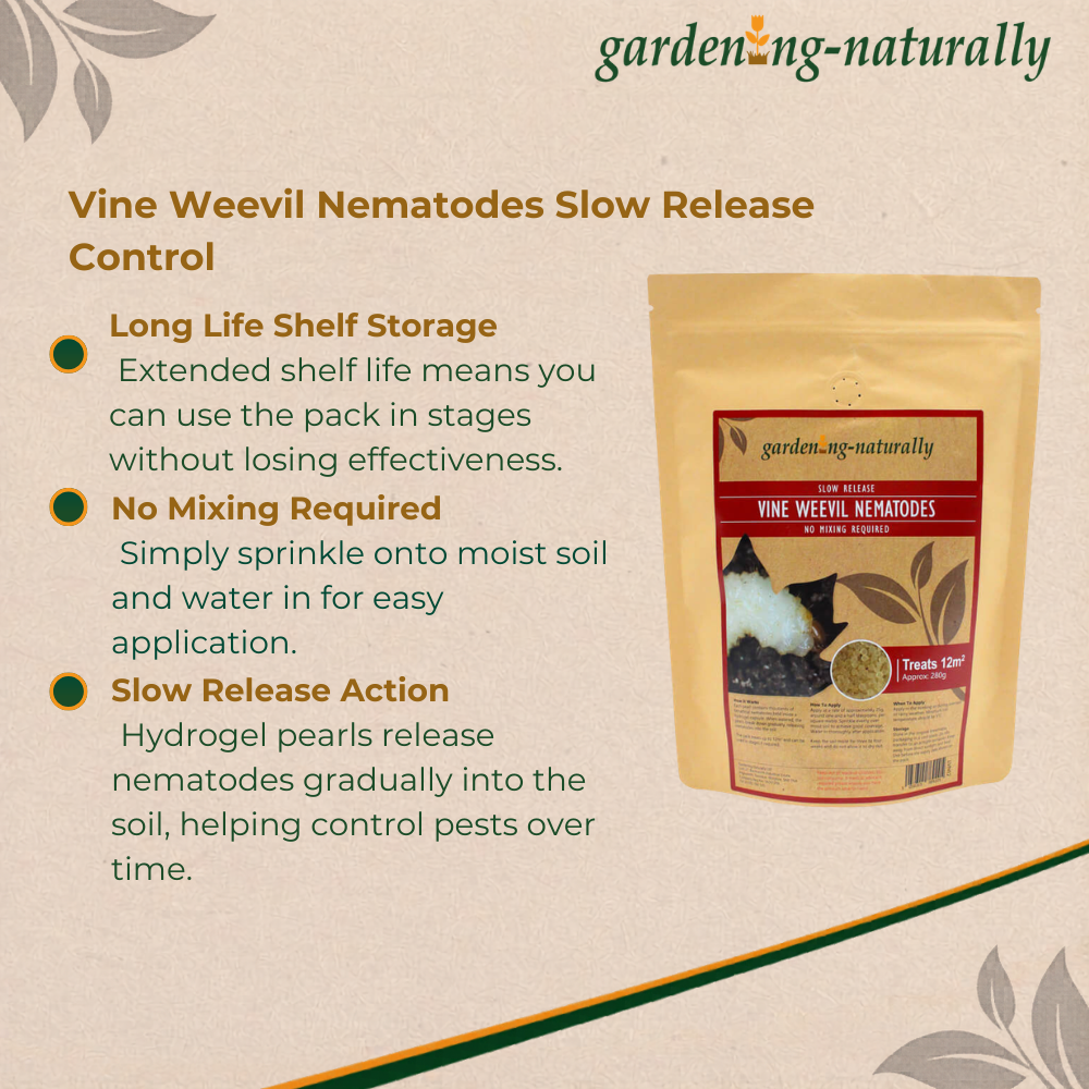 Product packaging for Vine Weevil Nematodes Slow Release Control with text detailing features on a beige background.