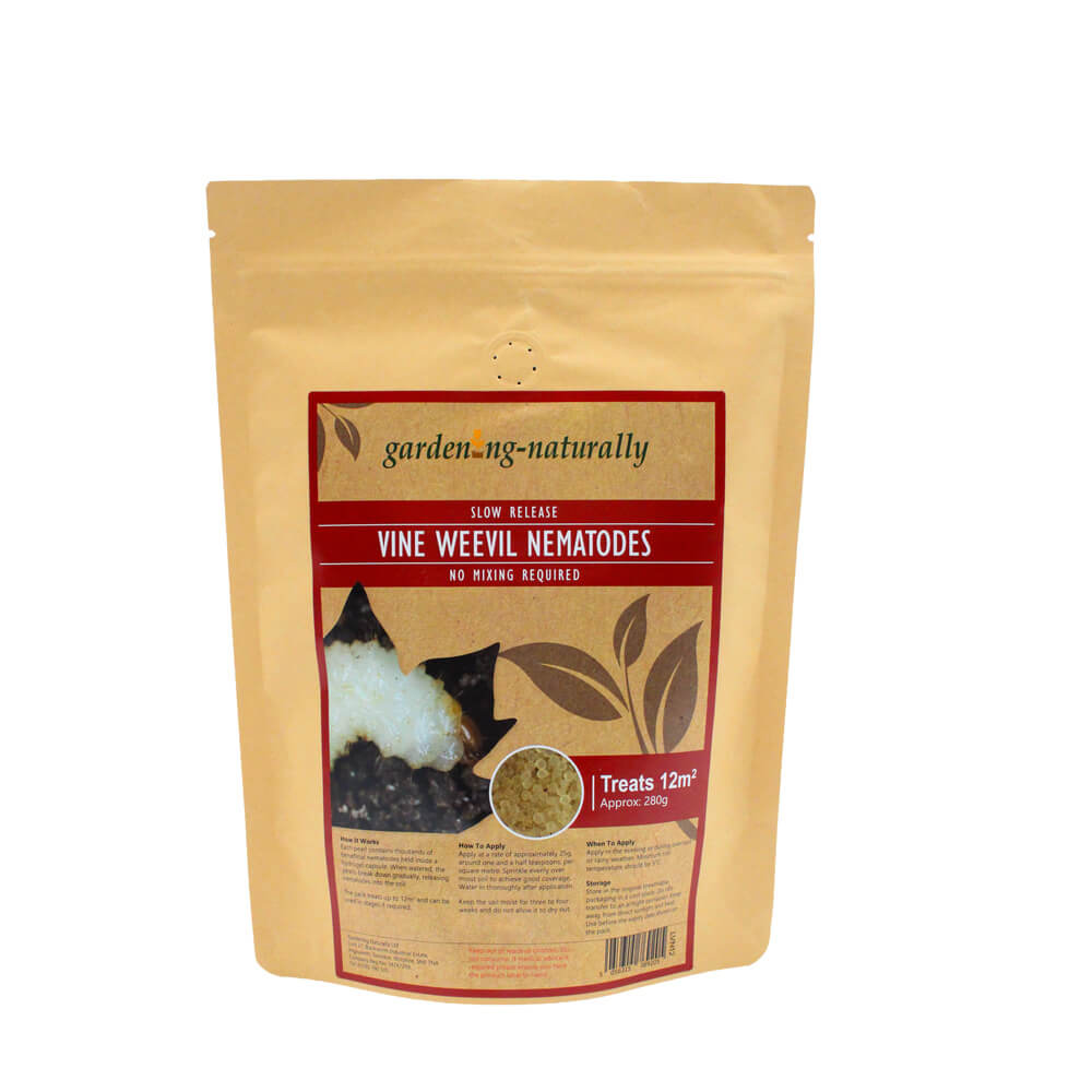 Package of gardening naturally vine weevil nematodes on a white background