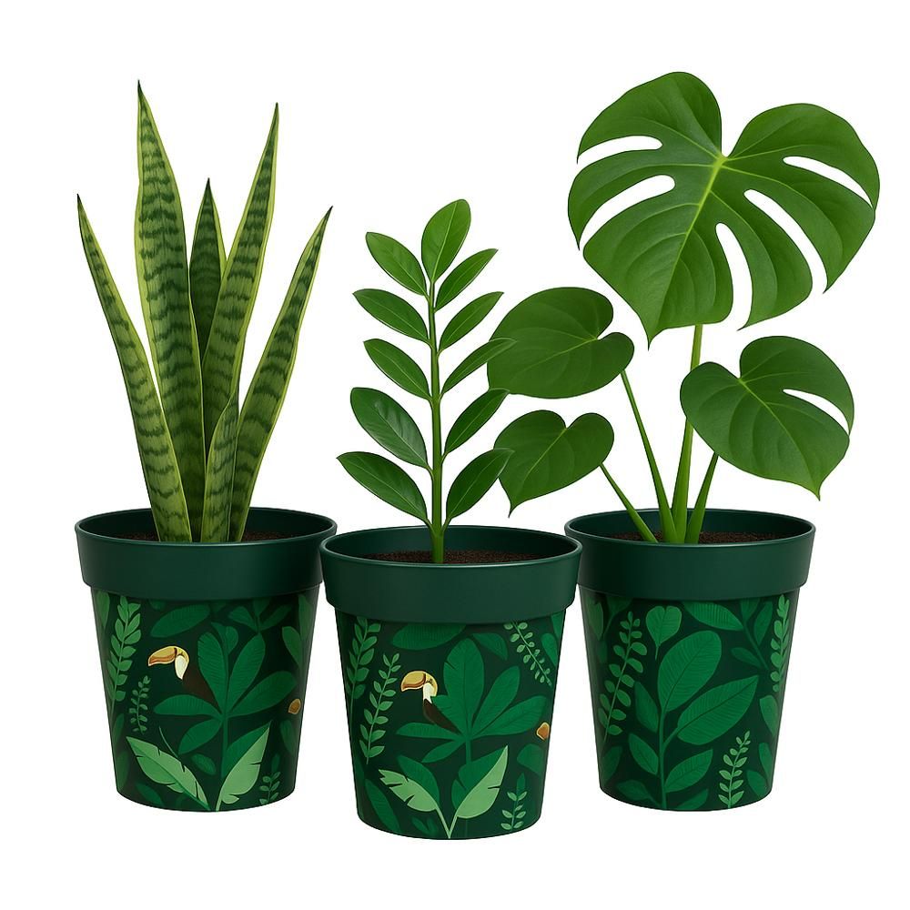 Vintage plant pots with plants on white background