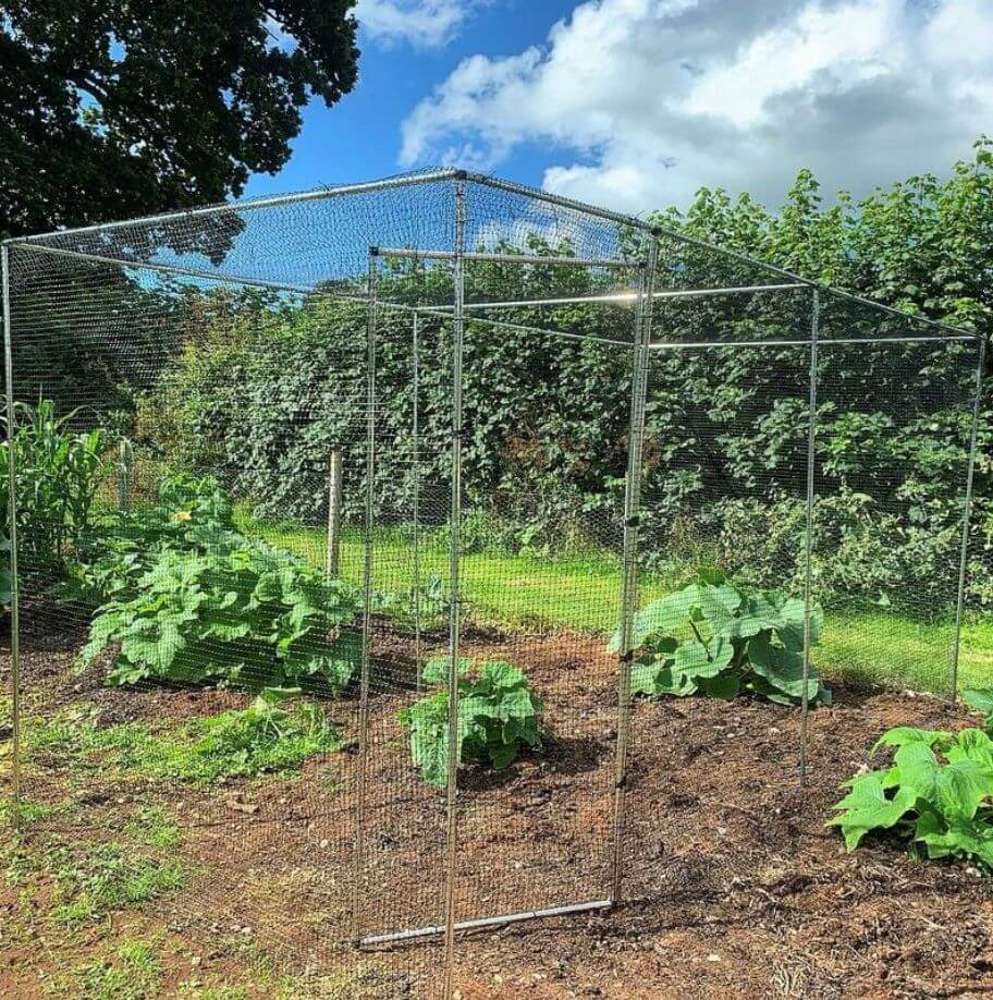 Metal fruit cage in a garden with green plants and trees in the background