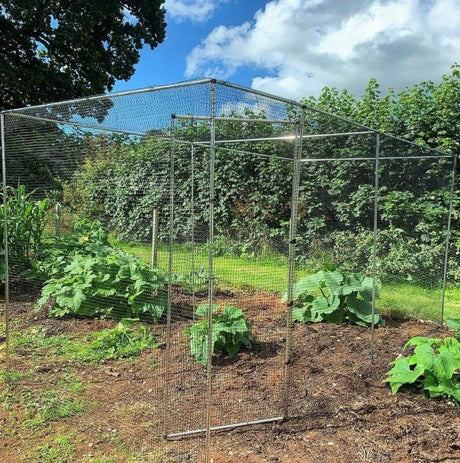 Metal fruit cage in a garden with green plants and trees in the background