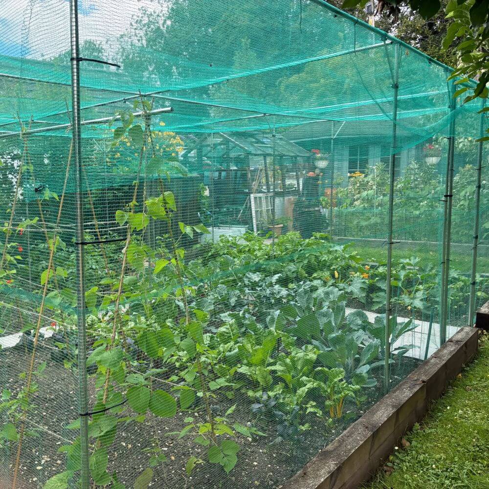 Vegetable garden with green mesh cover in a garden setting