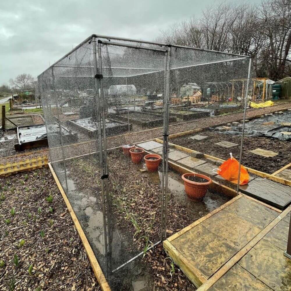 Small fruit cage in a garden setting with pots and wooden frames