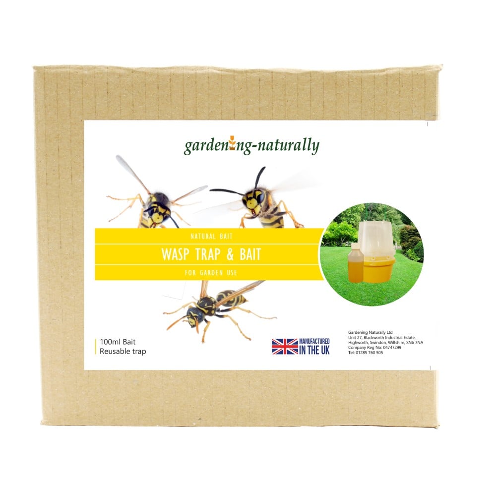 A yellow and clear wasp trap with a yellow base and a clear cylindrical cover suspended by green strings.