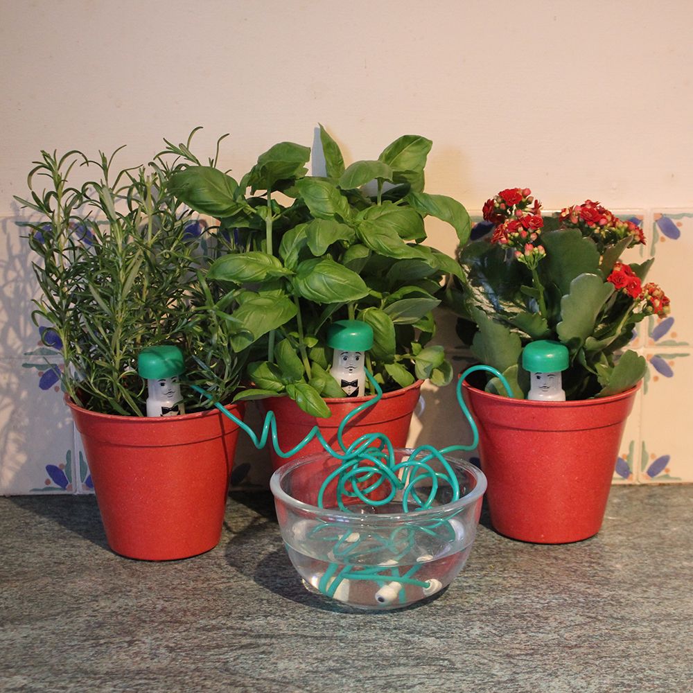 Three red pots with plants, each featuring a green watering spike, and a clear bowl with a spike in it, all placed on a kitchen counter.