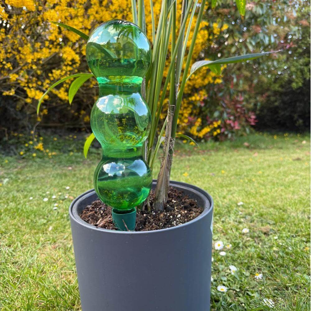 Green watering bottle with plants on a grassy background