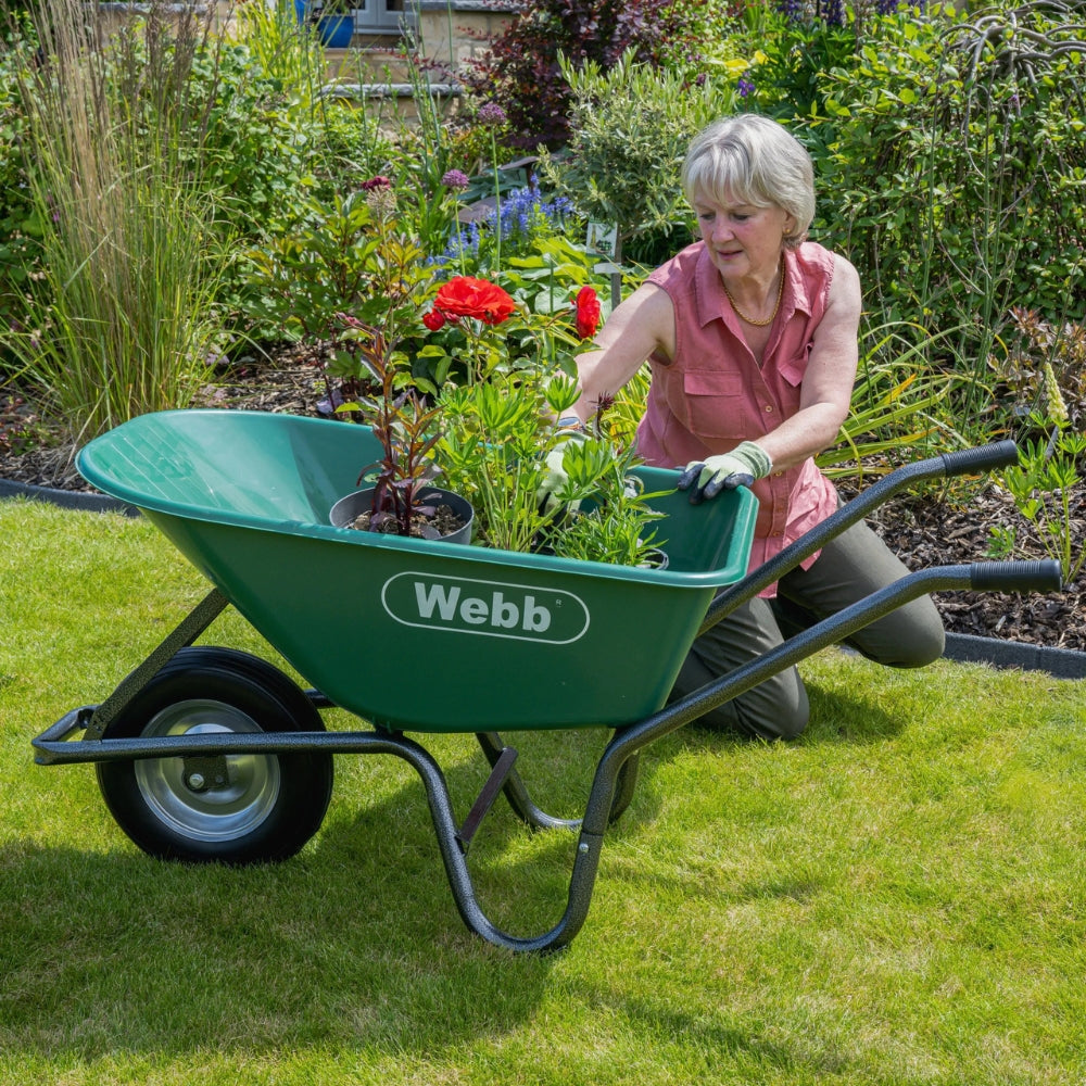 sturdy green wheelbarrow suitable for holding plants