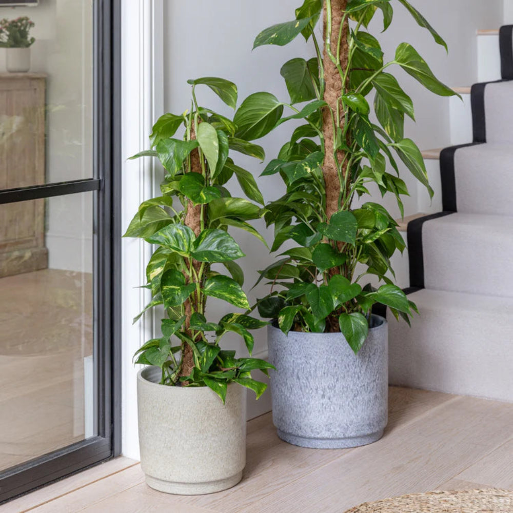 wesley marble planters indoor