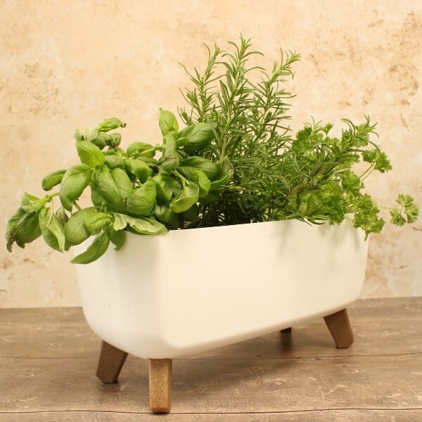A white trough-style plant pot with various herbs planted in it, supported by wooden legs on a wooden surface.