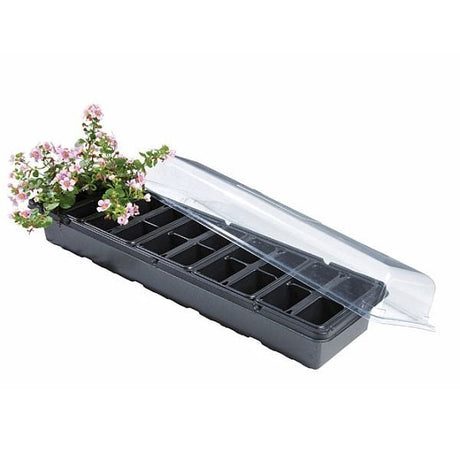 A black windowsill greenhouse with a clear lid, displaying a tray with soil and plants, placed on a white background.