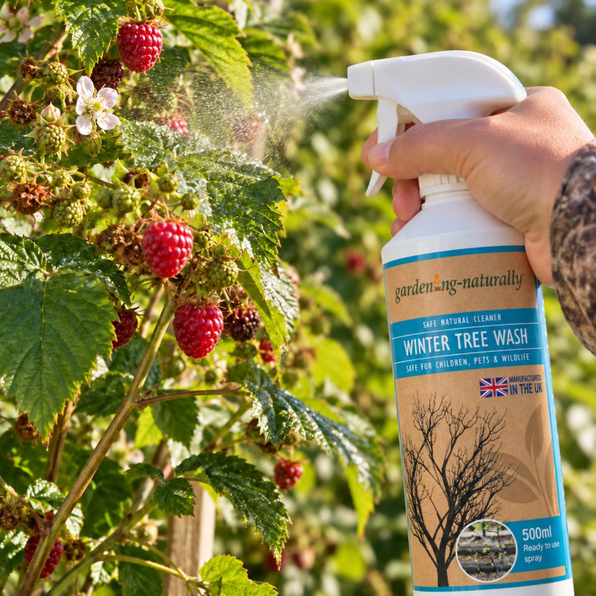 A hand holds a white spray bottle labeled gardenig-naturally Winter Tree Wash while spraying a raspberry bush outdoors. The bottle is shown in use on green leaves and red berries, with a blurred garden background.