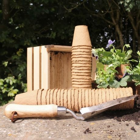 Wood fibre pots with plants stood on a wall in a garden
