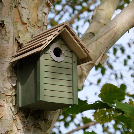 A wooden and stainless steel nest box with a shingle roof and a circular silver hole protector, mounted on a tree.
