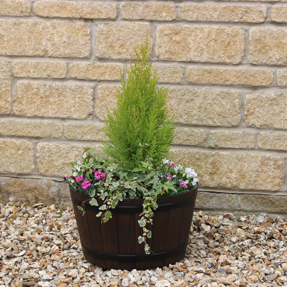 wooden barrel effect planter red wine