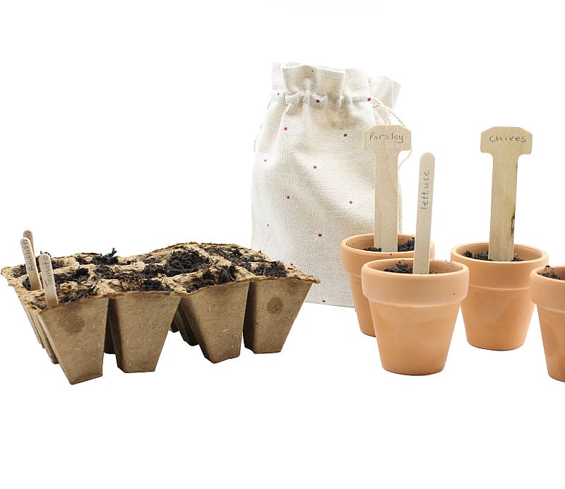 wooden plant labels in pots