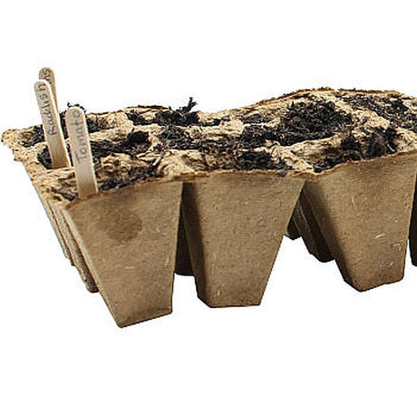 A tray of soil with wooden plant pins inserted into it, meant for seed marking.