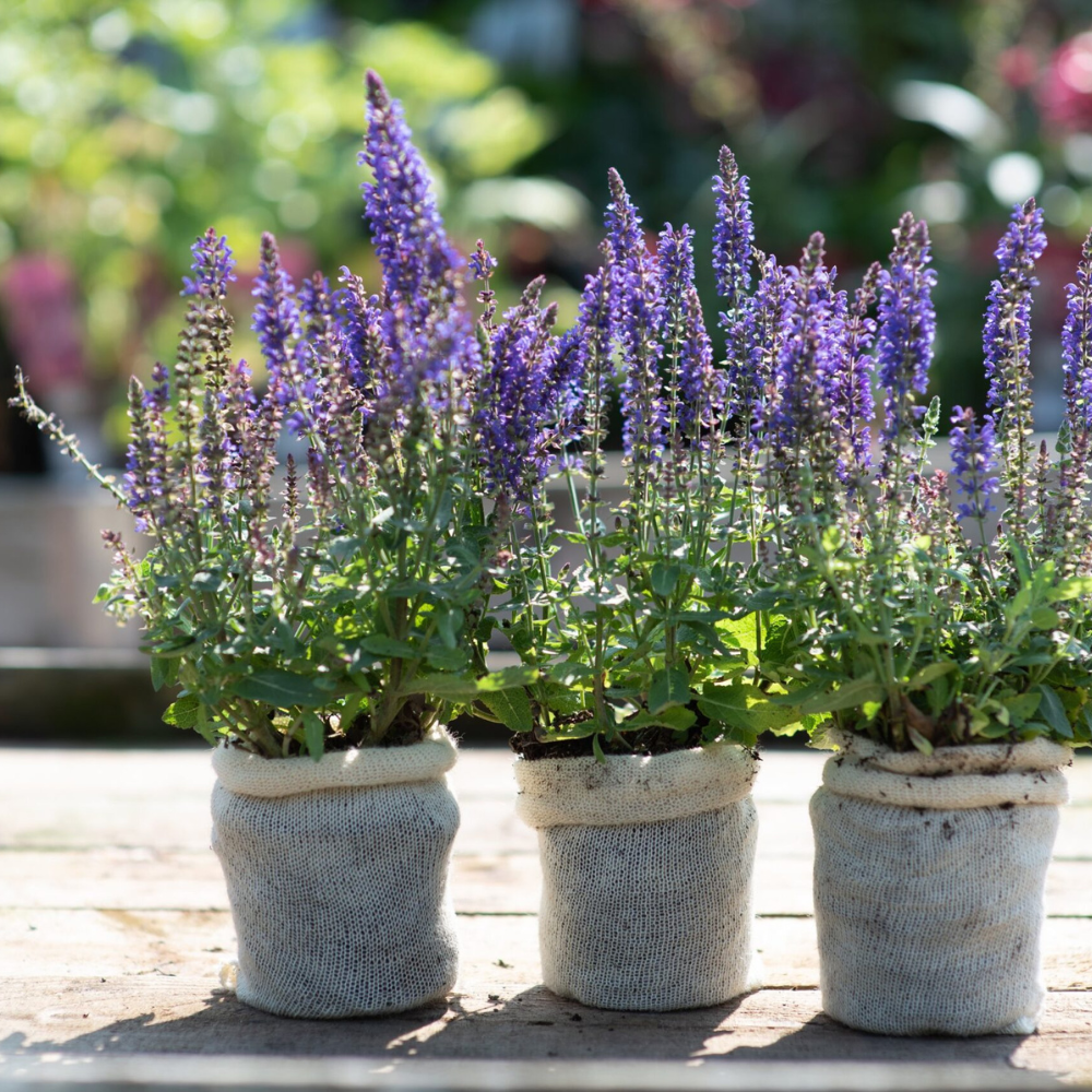 Wool Pot for potted plants