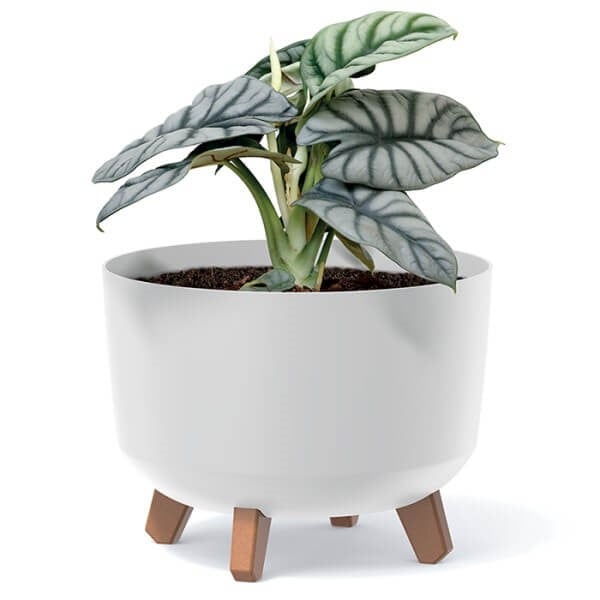 Zinnea round pot white with legs