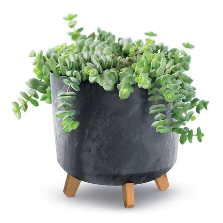Indoor Plant pot with legs in black