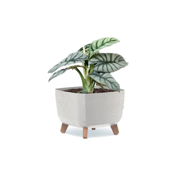Indoor or outdoor plant pot square trough with wood effect legs