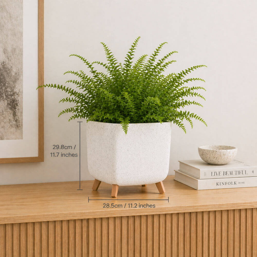Green potted plant in a white pot on a wooden surface with measurements indicated.