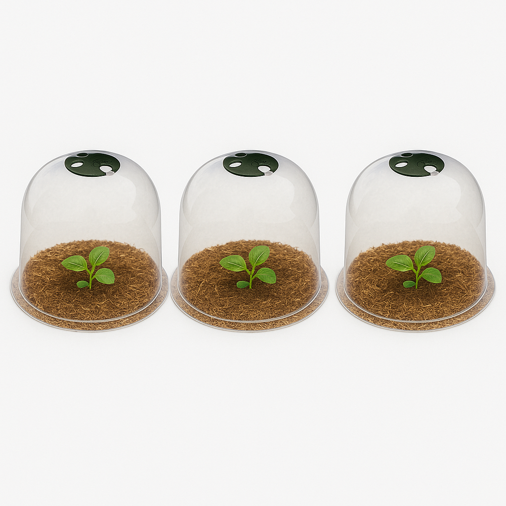 Three garden bell cloches with seedlings inside