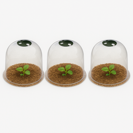 Three garden bell cloches with seedlings inside