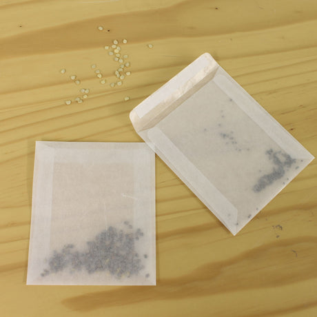 seed envelopes and seeds