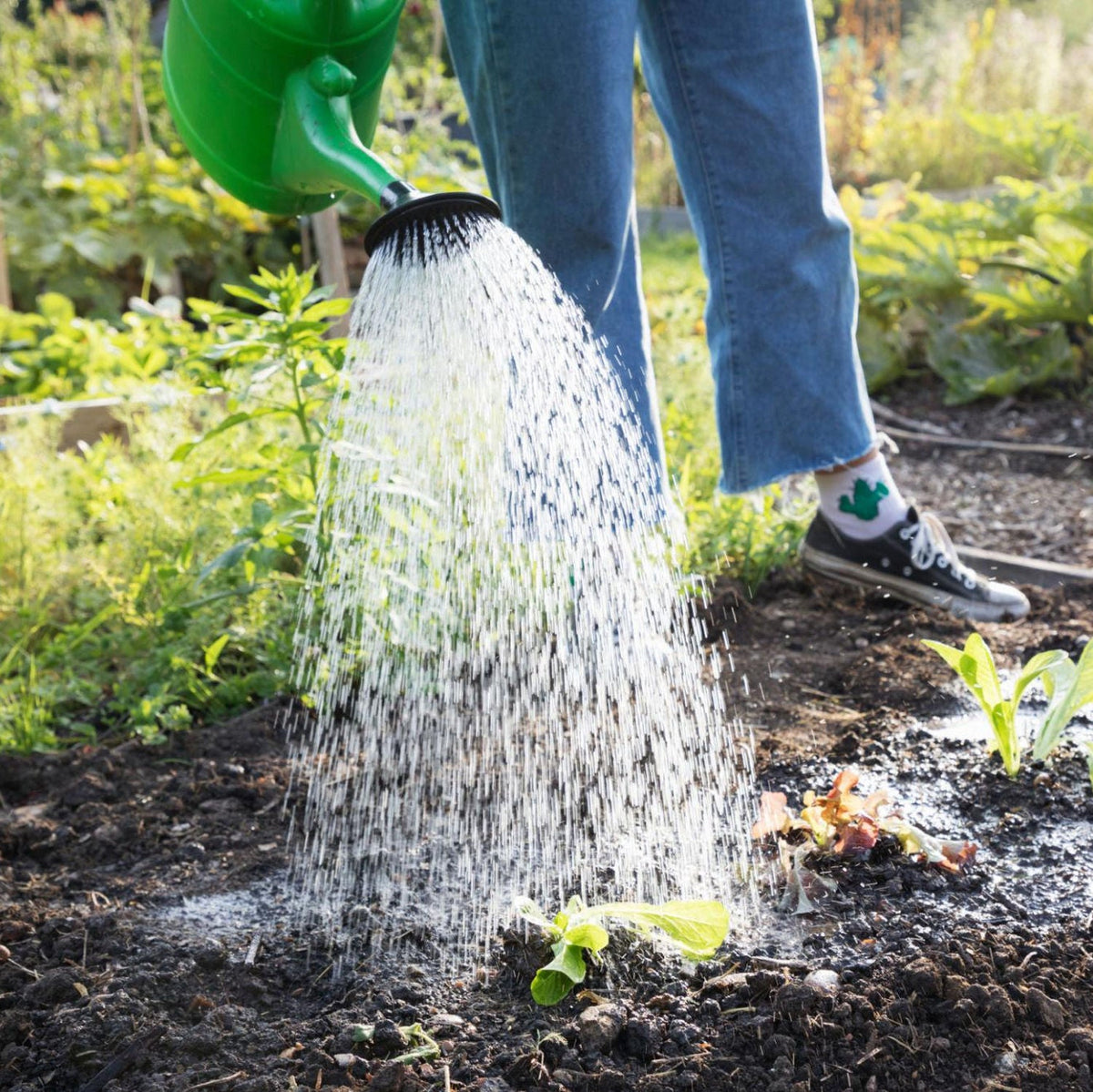 When to Apply Nematodes in the UK: Month-by-Month Guide