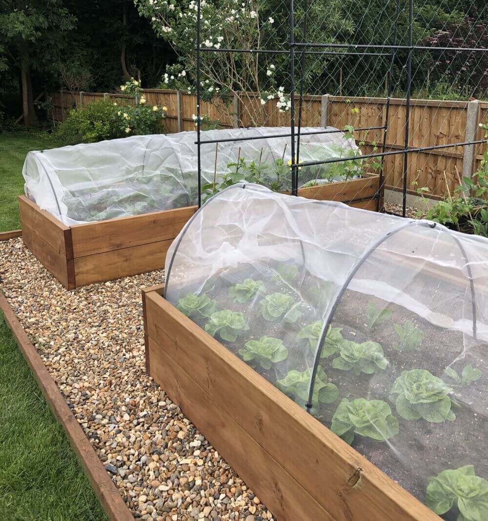 How to Use Garden Hoops to Protect and Grow Healthier Crop